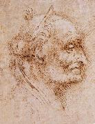 LEONARDO da Vinci Aurelio Luini attributed, profile of an old man Spain oil painting artist